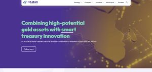 Change of Company Name to Hamak Strategy